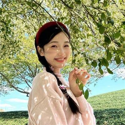 侠盗高飞