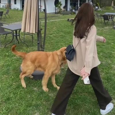 阿根廷正义审判